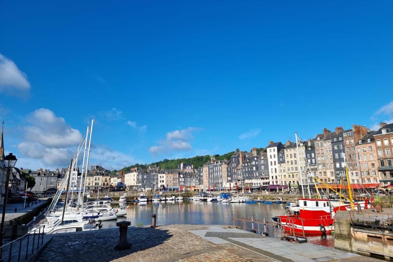 La Mezzanine D'au Sans Pareil- Cosy Center Appartamento Honfleur
